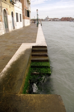 На набережных Венеции часто нет никаких перил, а ступени покрыты тиной и очень скользкие.